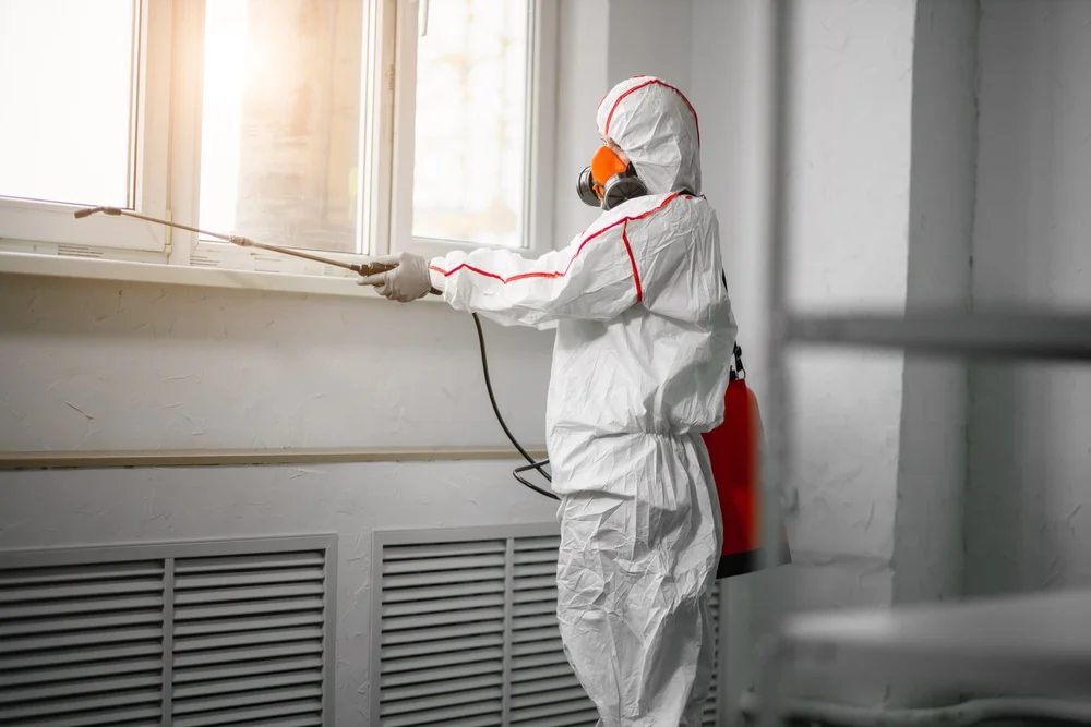 Professional mold remediation services in Stillwater, MN